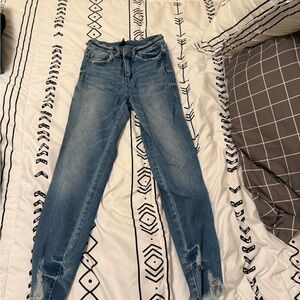 Flying Monkey Distressed Blue Skinny Jeans